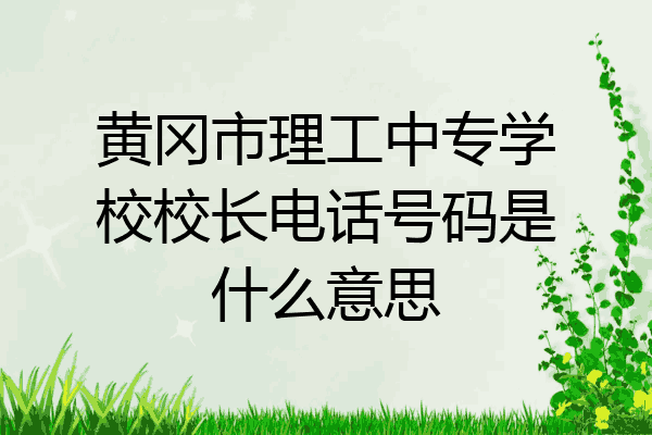 黄冈市理工中专学校校长电话号码是什么意思