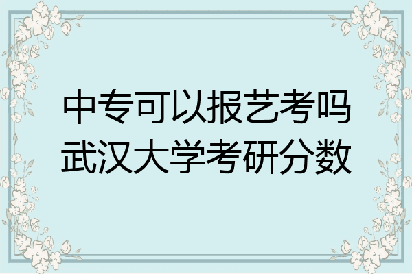 中专可以报艺考吗武汉大学考研分数