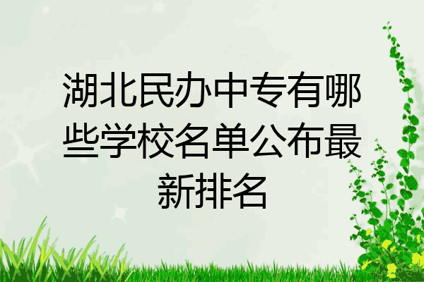 湖北民办中专有哪些学校名单公布最新排名