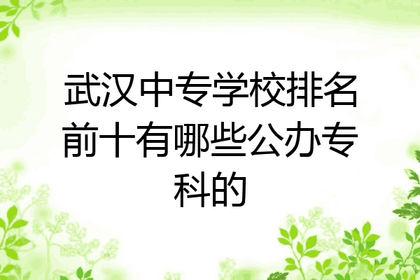 武汉中专学校排名前十有哪些公办专科的