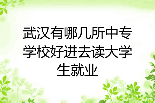 武汉有哪几所中专学校好进去读大学生就业