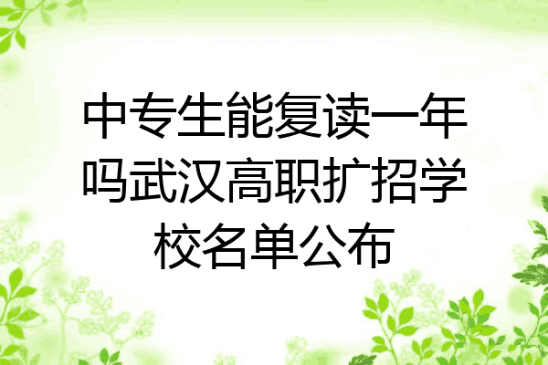 中专生能复读一年吗武汉高职扩招学校名单公布