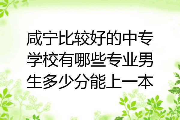 咸宁比较好的中专学校有哪些专业男生多少分能上一本