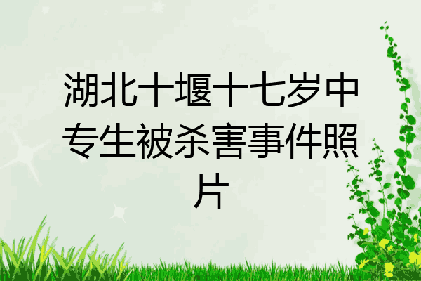 湖北十堰十七岁中专生被杀害事件照片