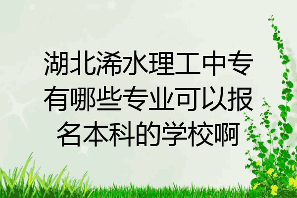 湖北浠水理工中专有哪些专业可以报名本科的学校啊