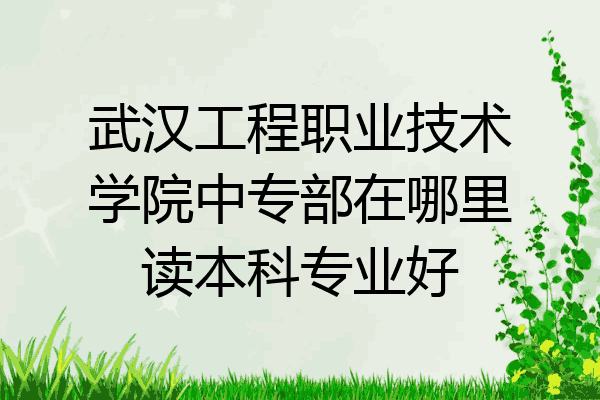 武汉工程职业技术学院中专部在哪里读本科专业好