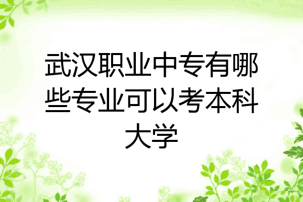 武汉职业中专有哪些专业可以考本科大学