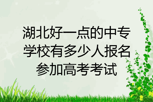 湖北好一点的中专学校有多少人报名参加高考考试