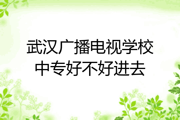 武汉广播电视学校中专好不好进去