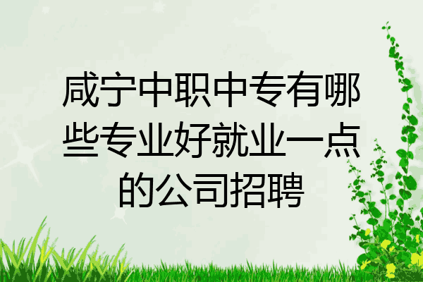 咸宁中职中专有哪些专业好就业一点的公司招聘