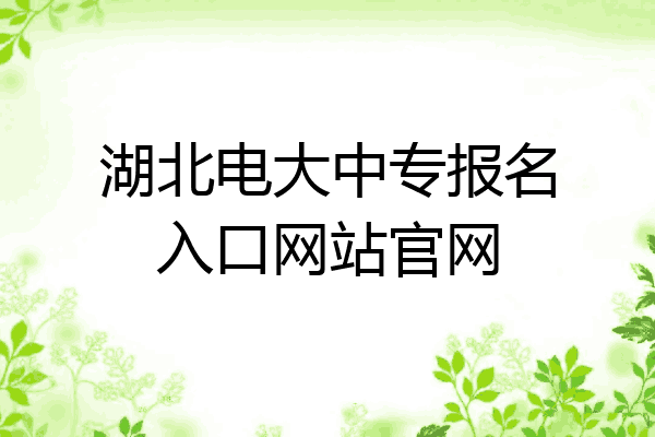 湖北电大中专报名入口网站官网