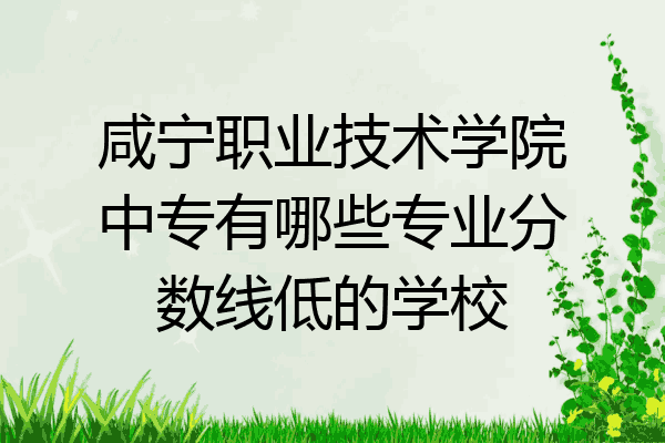 咸宁职业技术学院中专有哪些专业分数线低的学校