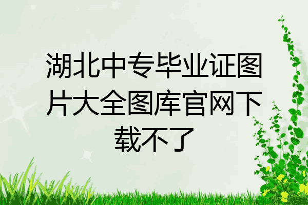 湖北中专毕业证图片大全图库官网下载不了