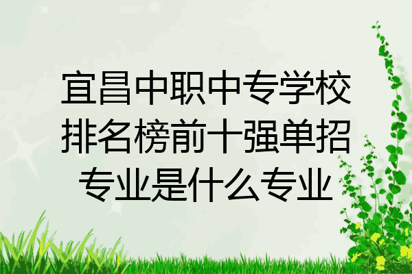 宜昌中职中专学校排名榜前十强单招专业是什么专业