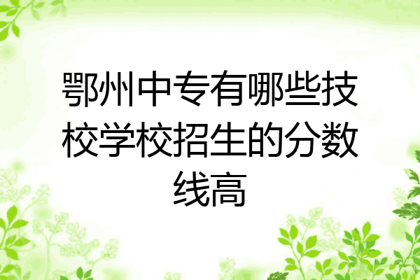 鄂州中专有哪些技校学校招生的分数线高