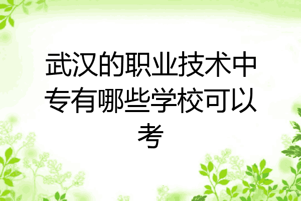 武汉的职业技术中专有哪些学校可以考
