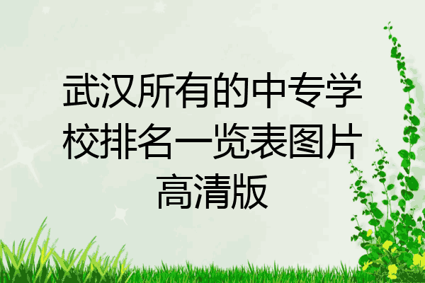 武汉所有的中专学校排名一览表图片高清版