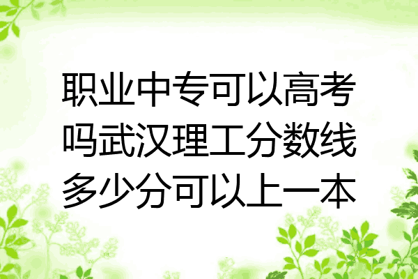 职业中专可以高考吗武汉理工分数线多少分可以上一本
