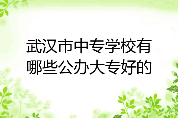 武汉市中专学校有哪些公办大专好的