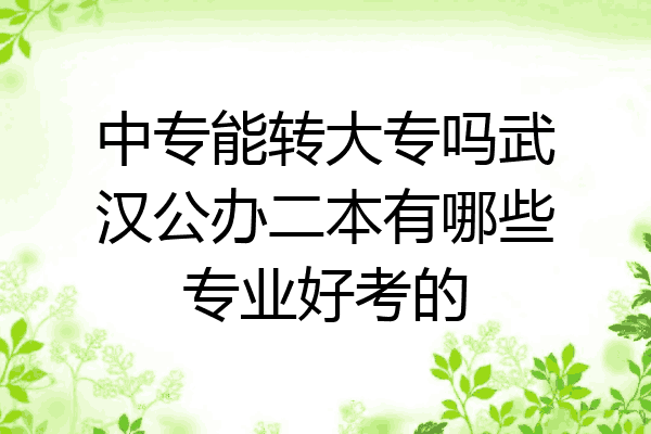 中专能转大专吗武汉公办二本有哪些专业好考的
