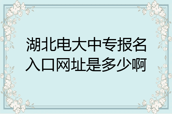 湖北电大中专报名入口网址是多少啊