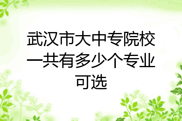 武汉市大中专院校一共有多少个专业可选