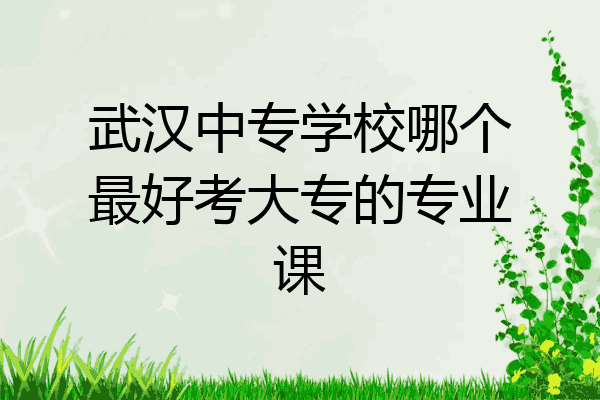 武汉中专学校哪个最好考大专的专业课