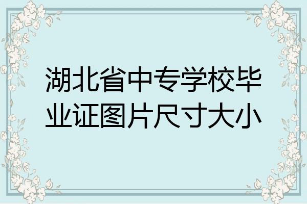 湖北省中专学校毕业证图片尺寸大小
