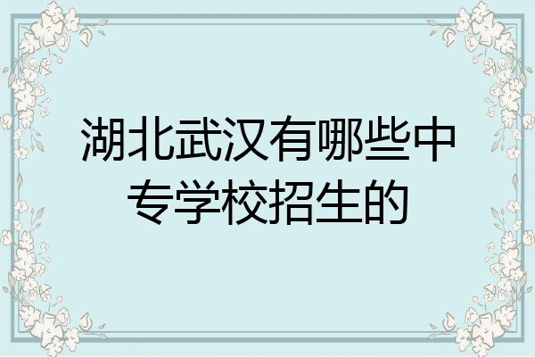 湖北武汉有哪些中专学校招生的