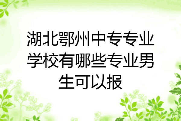 湖北鄂州中专专业学校有哪些专业男生可以报