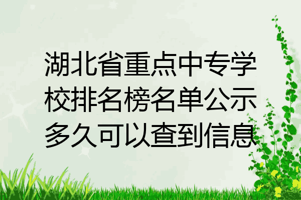 湖北省重点中专学校排名榜名单公示多久可以查到信息