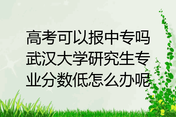 高考可以报中专吗武汉大学研究生专业分数低怎么办呢