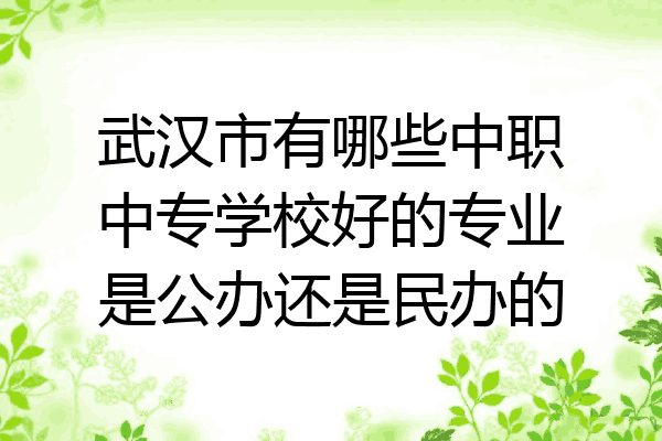 武汉市有哪些中职中专学校好的专业是公办还是民办的