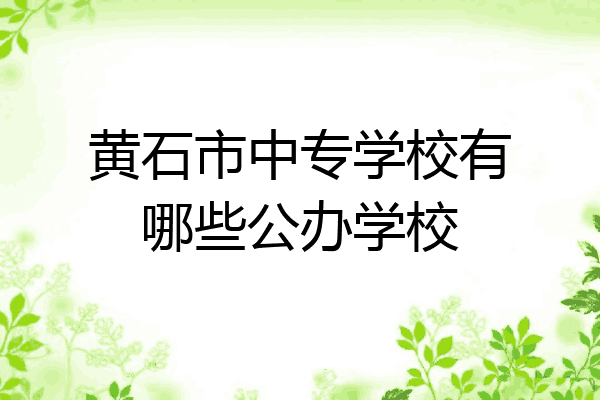 黄石市中专学校有哪些公办学校