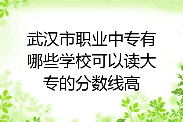 武汉市职业中专有哪些学校可以读大专的分数线高