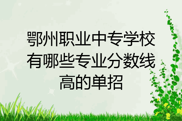 鄂州职业中专学校有哪些专业分数线高的单招
