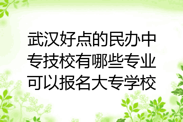武汉好点的民办中专技校有哪些专业可以报名大专学校