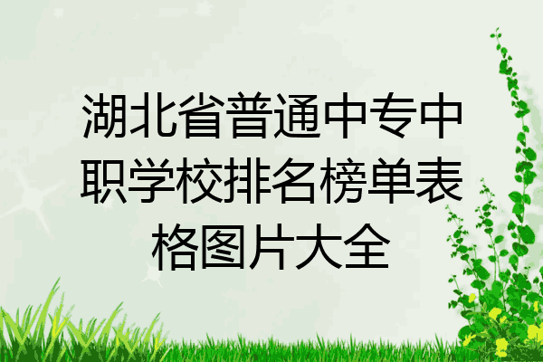 湖北省普通中专中职学校排名榜单表格图片大全