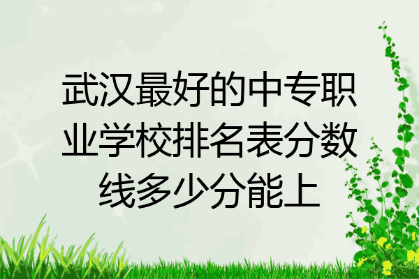 武汉最好的中专职业学校排名表分数线多少分能上