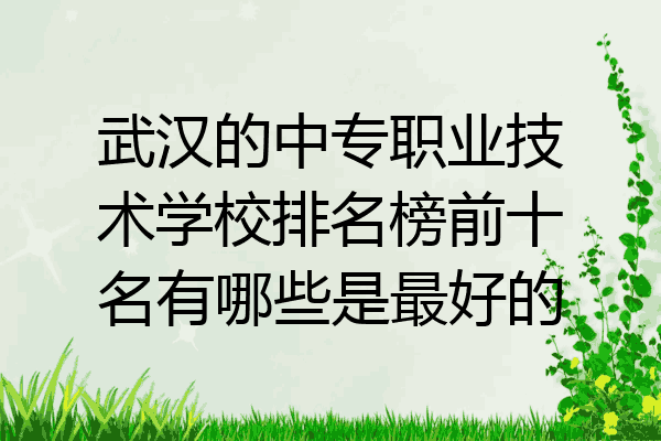 武汉的中专职业技术学校排名榜前十名有哪些是最好的