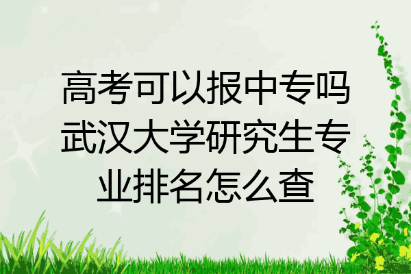 高考可以报中专吗武汉大学研究生专业排名怎么查