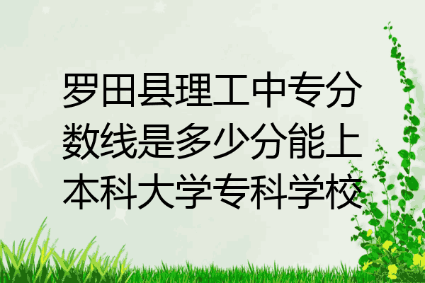 罗田县理工中专分数线是多少分能上本科大学专科学校