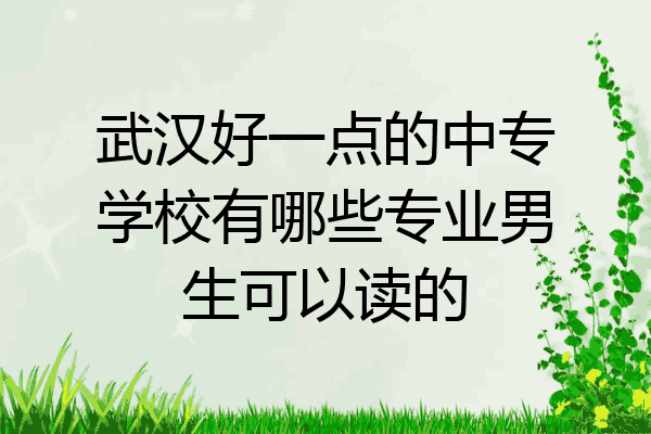 武汉好一点的中专学校有哪些专业男生可以读的