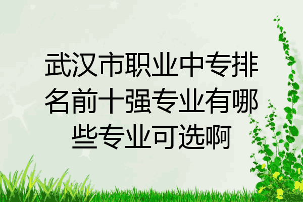 武汉市职业中专排名前十强专业有哪些专业可选啊