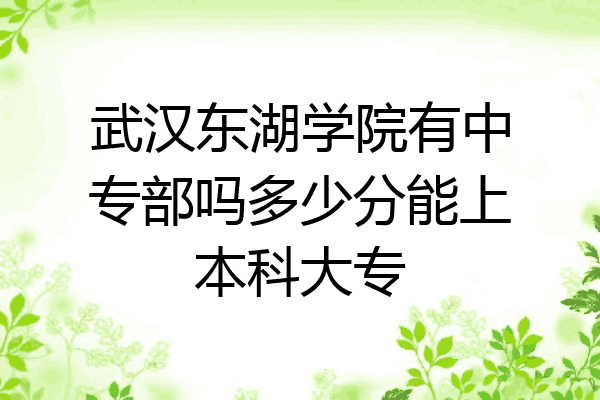 武汉东湖学院有中专部吗多少分能上本科大专