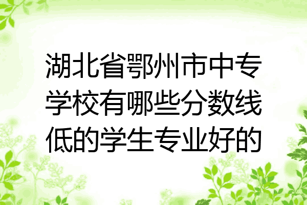 湖北省鄂州市中专学校有哪些分数线低的学生专业好的