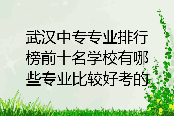 武汉中专专业排行榜前十名学校有哪些专业比较好考的