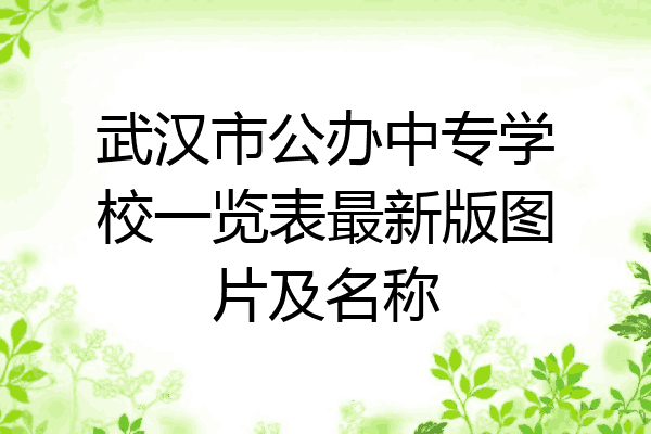 武汉市公办中专学校一览表最新版图片及名称