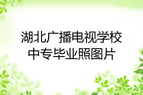 湖北广播电视学校中专毕业照图片