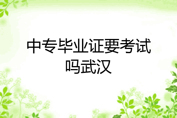 中专毕业证要考试吗武汉